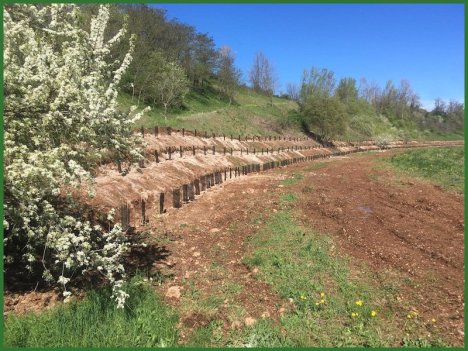 70d85eee-e2f8-4de7-8275-6f91be6b2511