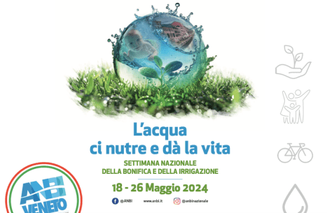 Schermata 2024-05-17 alle 15.56.58