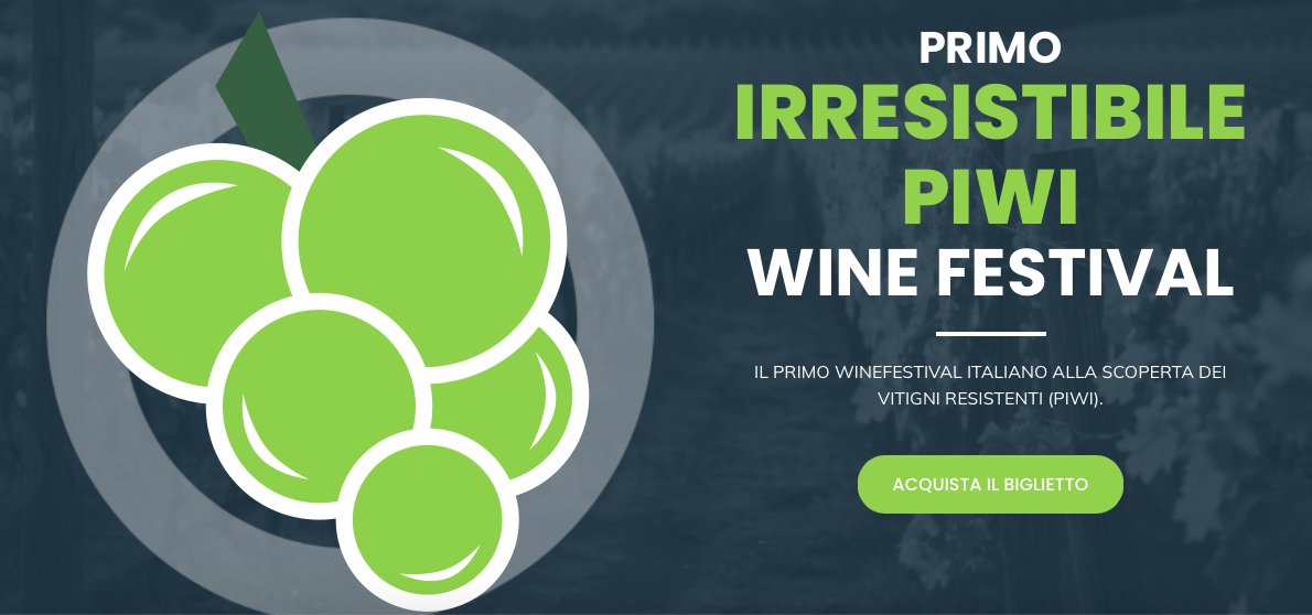 Schermata 2024-05-19 alle 20.22.00