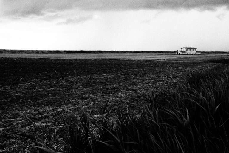 35239547_2030570926952888_4471182562840018944_n-768x512