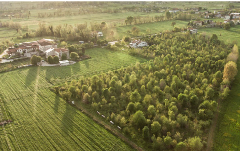 Schermata 2024-07-22 alle 12.04.24